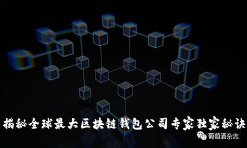 揭秘全球最大区块链钱包公司专家独家秘诀