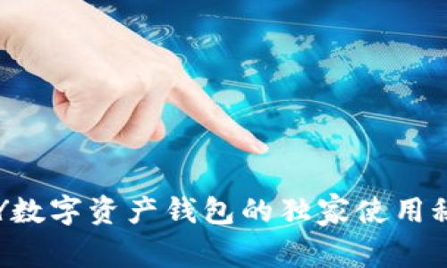 专家揭秘：UP Y数字资产钱包的独家使用秘诀与安全策略