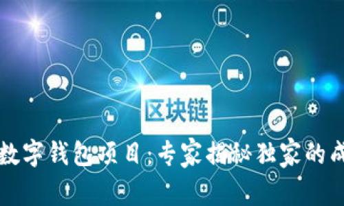 区块链数字钱包项目：专家揭秘独家的成功秘诀
