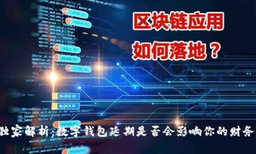 专家独家解析：数字钱包延期是否会影响你的财务安全？
