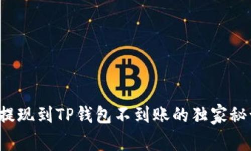 专家揭秘：HT提现到TP钱包不到账的独家秘诀与解决方案