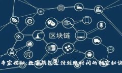 专家揭秘：数字钱包支付到账时间的独家秘诀