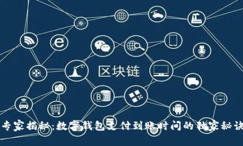 专家揭秘：数字钱包支付到账时间的独家秘诀