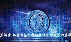 专家解密：加密钱包支持的货币支付方式独家揭