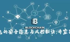 数字钱包的安全隐患与风控秘诀：专家独家解析