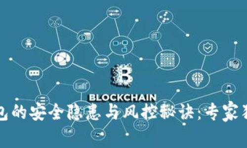 数字钱包的安全隐患与风控秘诀：专家独家解析