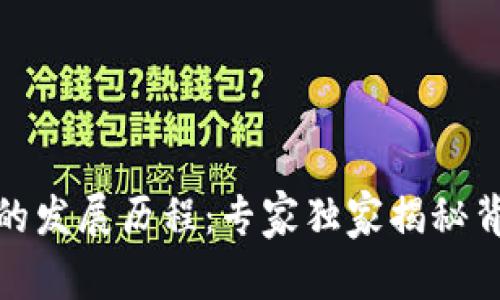 数字钱包的发展历程：专家独家揭秘背后的秘诀