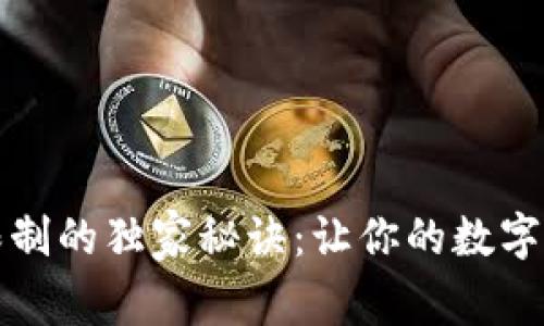 TP钱包气体限制的独家秘诀：让你的数字交易顺畅无阻