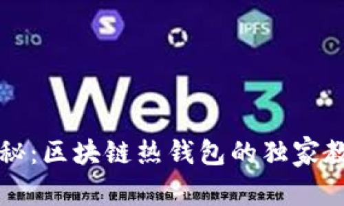 专家揭秘：区块链热钱包的独家教学秘诀