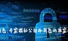 TP钱包：专家揭秘公链冷钱包的独家秘诀