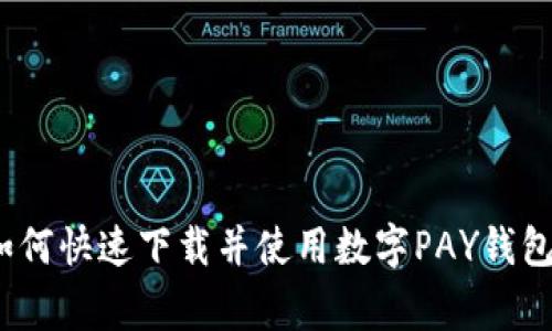 专家解析：如何快速下载并使用数字PAY钱包的独家秘诀