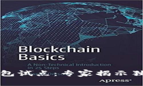 深州数字钱包试点：专家揭示独家成功秘诀