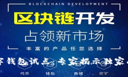 深州数字钱包试点：专家揭示独家成功秘诀