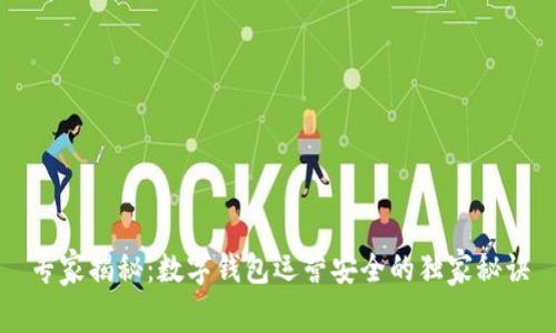 专家揭秘：数字钱包运营安全的独家秘诀