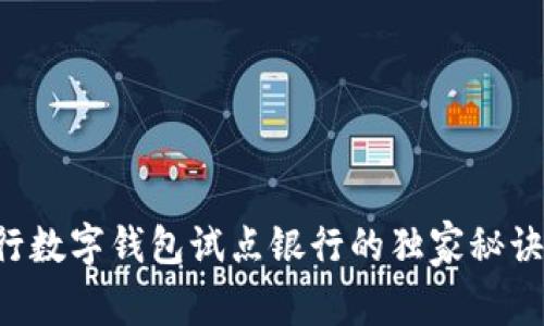 专家揭秘：央行数字钱包试点银行的独家秘诀，你不可不知！