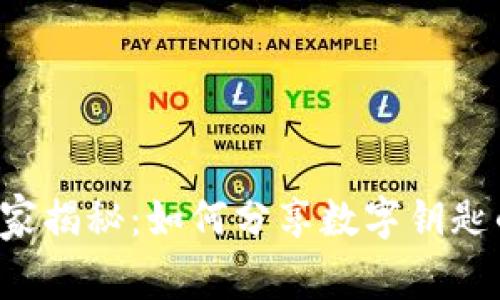 华为钱包独家揭秘：如何分享数字钥匙的高手秘诀！