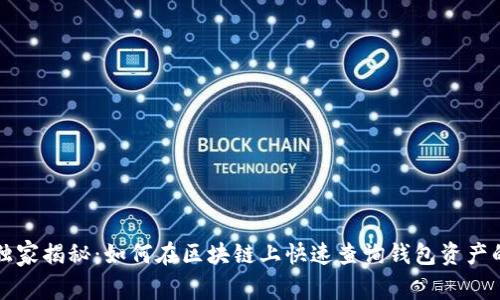 专家独家揭秘：如何在区块链上快速查询钱包资产的秘诀