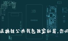 专家解读：区块链公共钱包独家秘籍，你必须知