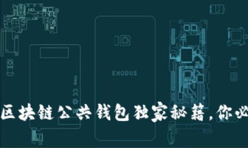 专家解读：区块链公共钱包独家秘籍，你必须知道的！