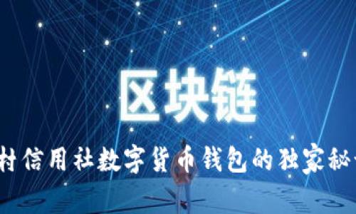 专家揭秘：农村信用社数字货币钱包的独家秘诀与应用前景