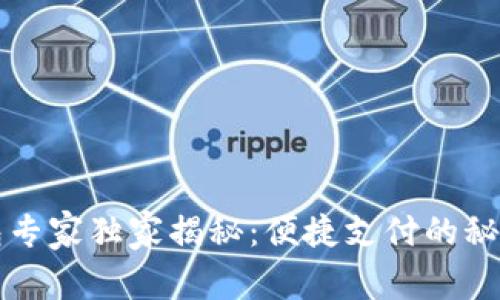 上海数字钱包专家独家揭秘：便捷支付的秘诀与未来发展