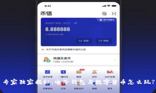 专家独家揭秘：电子钱包与数字货币怎么玩?