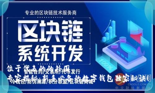 位于代表的的外围
专家揭秘：新手必备的数字钱包独家秘诀！