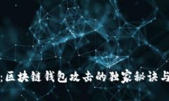 专家揭秘：区块链钱包攻击的独家秘诀与防护措