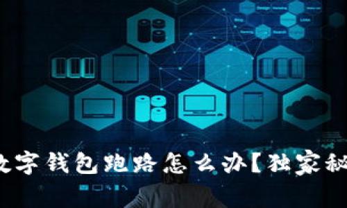 专家揭秘：数字钱包跑路怎么办？独家秘诀助你维权