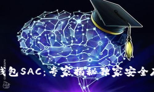 区块链钱包SAC：专家揭秘独家安全存储秘诀