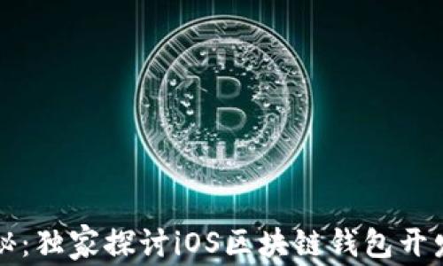 
专家揭秘：独家探讨iOS区块链钱包开发的秘诀