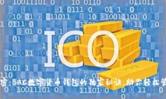 专家揭密：BAC数字货币钱包的独家秘诀，助你轻