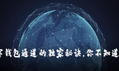 专家揭秘：数字钱包通道的独家秘诀，你不知道的支付新选择
