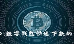 专家揭秘：数字钱包快速下款的独家秘诀