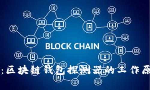 专家独家揭秘：区块链钱包探测器的工作原理与应用秘诀