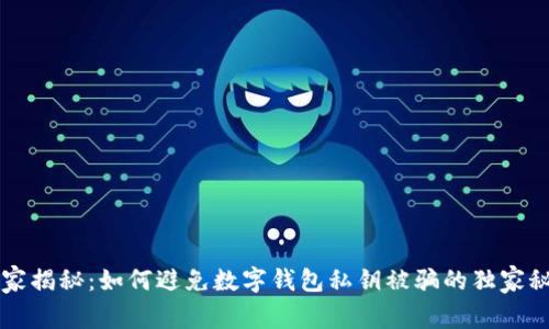 专家揭秘：如何避免数字钱包私钥被骗的独家秘诀