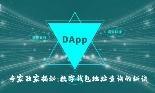 专家独家揭秘：数字钱包地址查询的秘诀