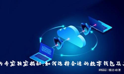 数字钱包的专家独家揭秘：如何选择合适的数字钱包及其级别分析