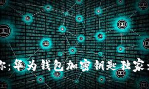 专家教你：华为钱包加密钥匙独家录入秘诀