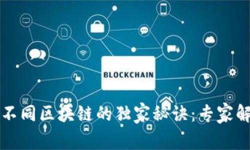 TP钱包切换不同区块链的独家秘诀：专家解读链间区别