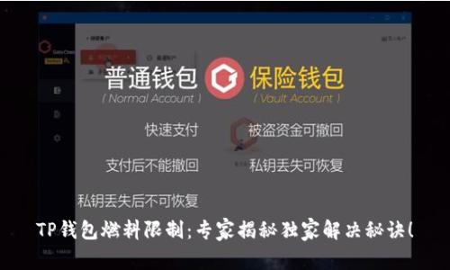 TP钱包燃料限制：专家揭秘独家解决秘诀！