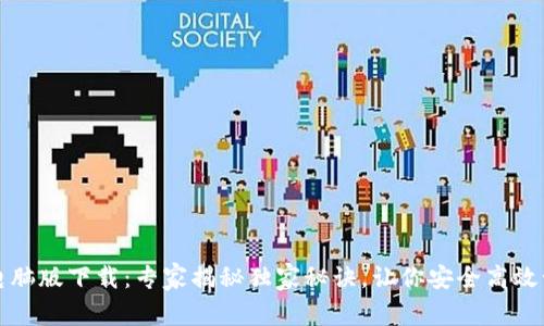 TP钱包官网电脑版下载：专家揭秘独家秘诀，让你安全高效管理数字资产