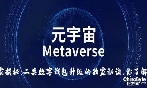 专家揭秘：二类数字钱包升级的独家秘诀，你了解吗？