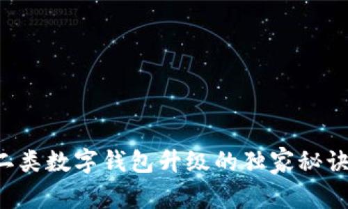 专家揭秘：二类数字钱包升级的独家秘诀，你了解吗？