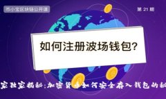 专家独家揭秘：加密货币如何安全存入钱包的秘