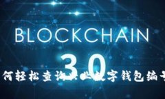 专家揭密：如何轻松查询兴业数字钱包编号的独