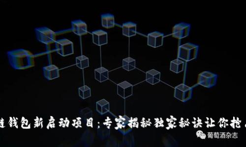 区块链钱包新启动项目：专家揭秘独家秘诀让你抢占先机