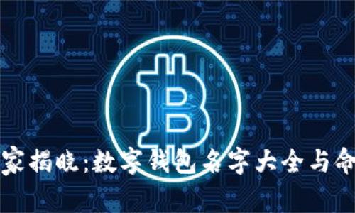 专家独家揭晓：数字钱包名字大全与命名秘诀