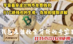 揭秘：TP钱包无法搜索薄饼的专家独家秘诀