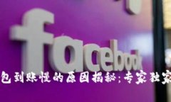 区块链钱包到账慢的原因揭秘：专家独家分享秘